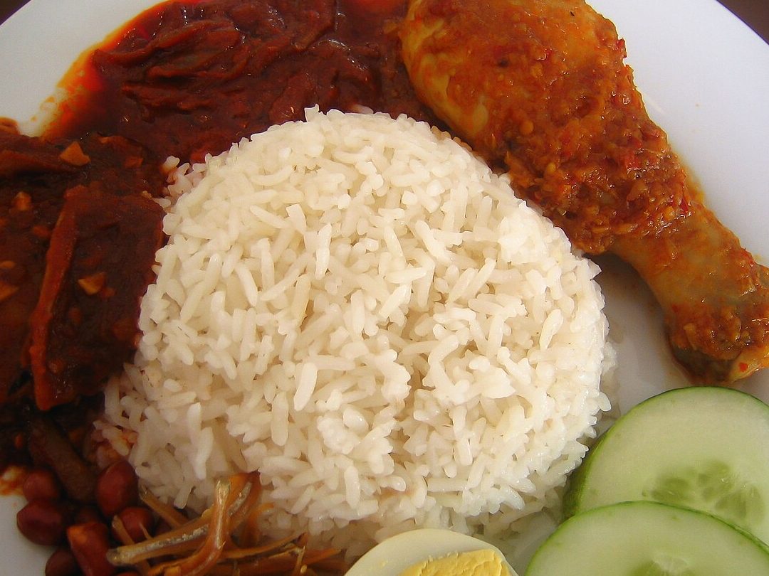 zaleeza nasi melayu